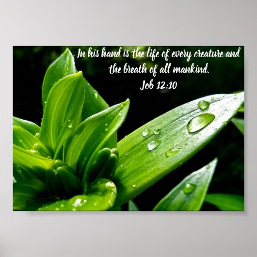 Taak 12:10, Afdrukken, Value-Poster papier (Matte) Poster (Voorkant)