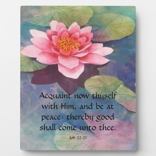 Taak 22:21 fotoplaat (Voorkant)