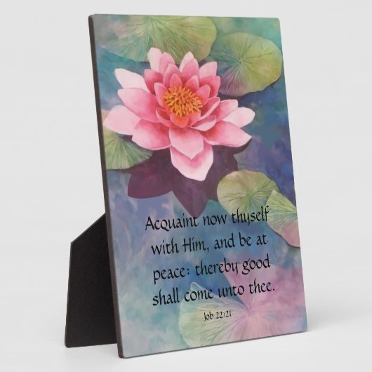 Taak 22:21 fotoplaat (Zijkant)