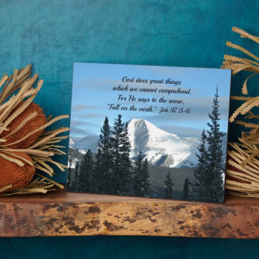 Taak 37:5-6 fotoplaat (Zijkant)