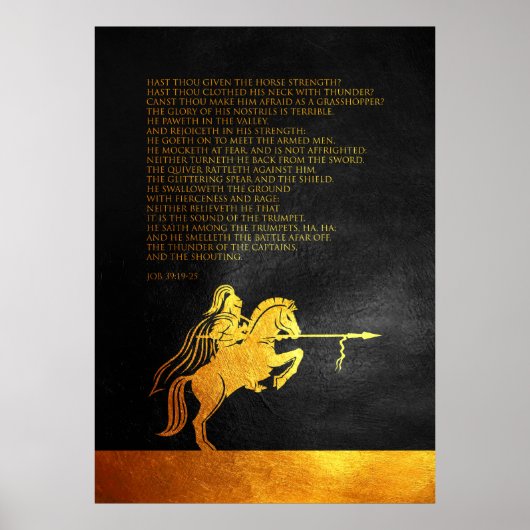 Taak 39:19-25 Bijbelversie Poster (Voorkant)