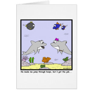 Taakinterviews: Dolphin cartoon