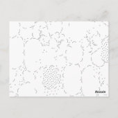 Taal, Aqua Haze Briefkaart (Achterkant)