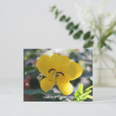 Taal bloemen: Cassia Briefkaart (Staand voorkant)