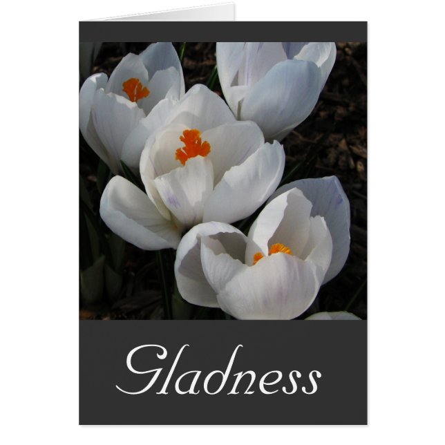 Taal van bloemen (Voorkant)