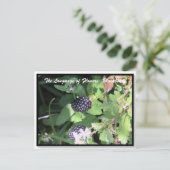 Taal van bloemen De Blackberry Briefkaart (Staand voorkant)