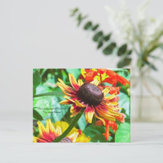 Taal van Bloemen de Cone Bloem Briefkaart (Staand voorkant)