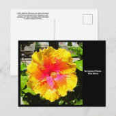 Taal van Bloemen Geel Hibiscus Briefkaart (Voorkant / Achterkant)