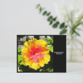 Taal van Bloemen Geel Hibiscus Briefkaart (Staand voorkant)