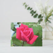 Taal van Bloemen Roze Roos Briefkaart (Staand voorkant)