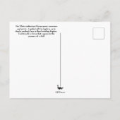 Taal van de bloemen - Anthurium Briefkaart (Achterkant)