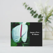 Taal van de bloemen - Anthurium Briefkaart (Staand voorkant)