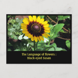 Taal van de bloemen: Black-eye susan Briefkaart