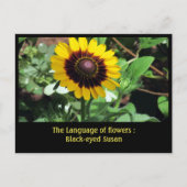 Taal van de bloemen: Black-eye susan Briefkaart (Voorkant)
