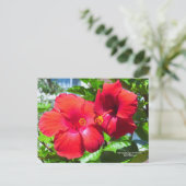 Taal van de bloemen Red Hibiscus Briefkaart (Staand voorkant)