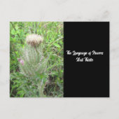 Taal van Flowers Bull Thistle Briefkaart (Voorkant)