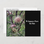 Taal van Flowers Bull Thistle Briefkaart (Voorkant / Achterkant)