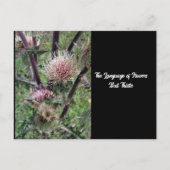 Taal van Flowers Bull Thistle Briefkaart (Voorkant)
