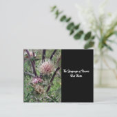 Taal van Flowers Bull Thistle Briefkaart (Staand voorkant)
