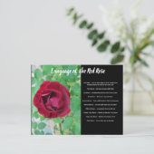 Taal van het Briefkaart van de Roos (Staand voorkant)