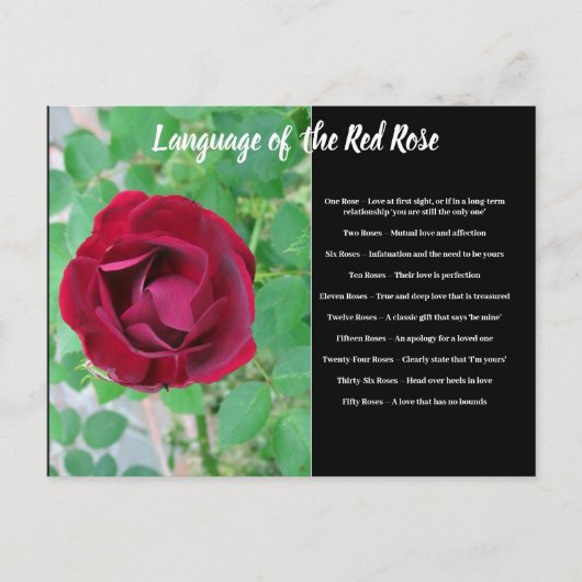 Taal van het Briefkaart van de Roos (Voorkant)