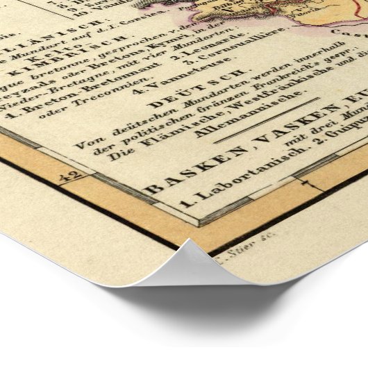 Taalkaart van Frankrijk Poster (Hoek)