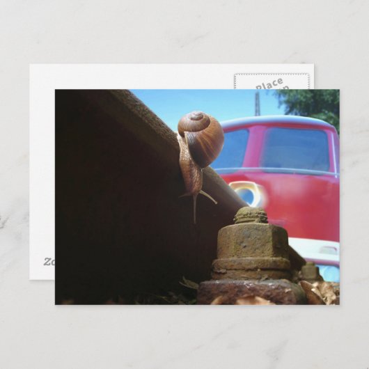 taart briefkaart (Voorkant / Achterkant)