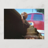 taart briefkaart (Voorkant)