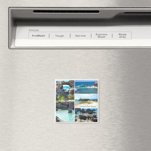 Tabacco Bay Beach, Bermuda Magneet (Insitu (Vaatwasser))