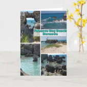 Tabacco Bay Beach, Bermuda wenskaart Kaart (Gele Bloem)