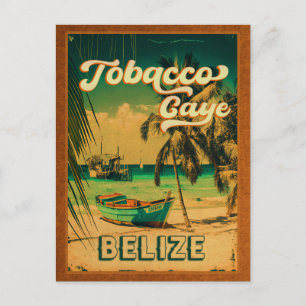 Tabacco Caye Belize  Palm Trees Souvenirs Briefkaart