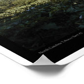 Tabak Barn 2 Poster (Hoek)