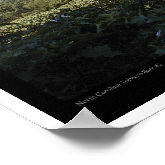 Tabak Barn 2 Poster (Hoek)