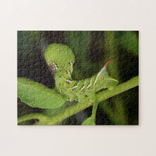 Tabak Hornworm Caterstyle Tomato Plant Puzzle Legpuzzel