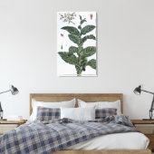 Tabak plant, bord 7, van 'Collectie del euse' Canvas Afdruk (Insitu (Slaapkamer))