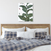 Tabak plant, bord 7, van 'Collectie del euse' Canvas Afdruk (Insitu (Slaapkamer))