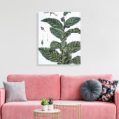 Tabak plant, bord 7, van 'Collectie del euse' Canvas Afdruk (Insitu (Woonkamer))