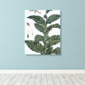 Tabak plant, bord 7, van 'Collectie del euse' Canvas Afdruk (Insitu (Houten vloer))