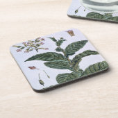 Tabak plant, bord 7, van 'Collectie del euse' Drankjes Onderzetter (Linkerzijde)