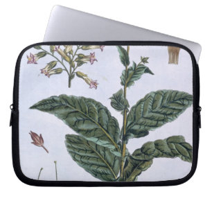 Tabak plant, bord 7, van 'Collectie del euse' Laptop Sleeve