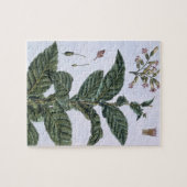 Tabak plant, bord 7, van 'Collectie del euse' Legpuzzel (Horizontaal)