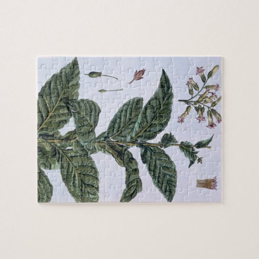 Tabak plant, bord 7, van 'Collectie del euse' Legpuzzel (Horizontaal)