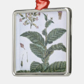Tabak plant, bord 7, van 'Collectie del euse' Metalen Ornament (Links)