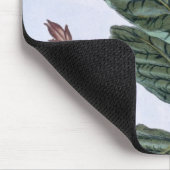 Tabak plant, bord 7, van 'Collectie del euse' Muismat (Hoek)