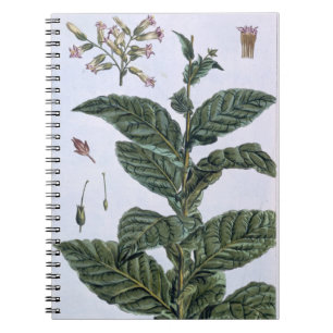 Tabak plant, bord 7, van 'Collectie del euse' Notitieboek