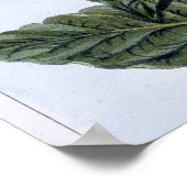 Tabak plant, bord 7, van 'Collectie del euse' Poster (Hoek)