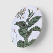 Tabak plant, bord 7, van 'Collectie del euse' Ronde Klok (Hoek)