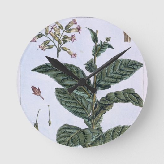 Tabak plant, bord 7, van 'Collectie del euse' Ronde Klok (Voorkant)