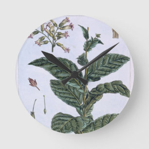 Tabak plant, bord 7, van 'Collectie del euse' Ronde Klok