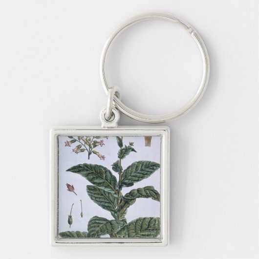 Tabak plant, bord 7, van 'Collectie del euse' Sleutelhanger (Voorkant)